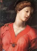 Angelo Bronzino The Panciatichi Holy Family oil painting
